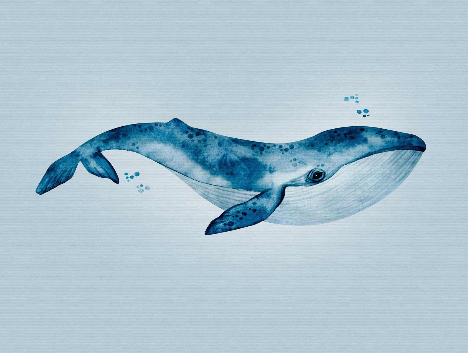 Óriás kék bálna mintás gyerekszobai poszter tapéta