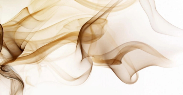 Banánpálma mintás fotótapéta natúr színben egyedi 379x263cm méretben