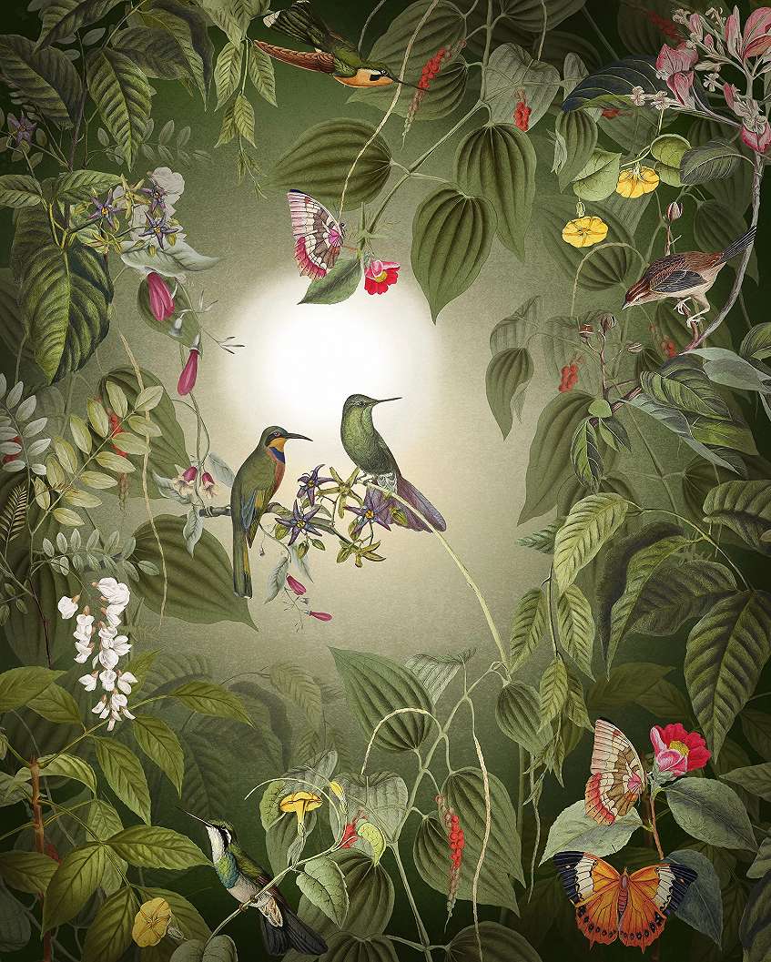 Botanikus kolibri és trópusi mintás fotótapéta