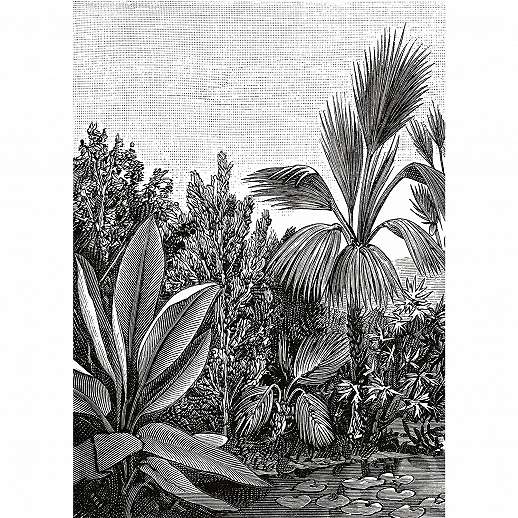 Caselio fotótapéta fekete fehér dzsungel mintával