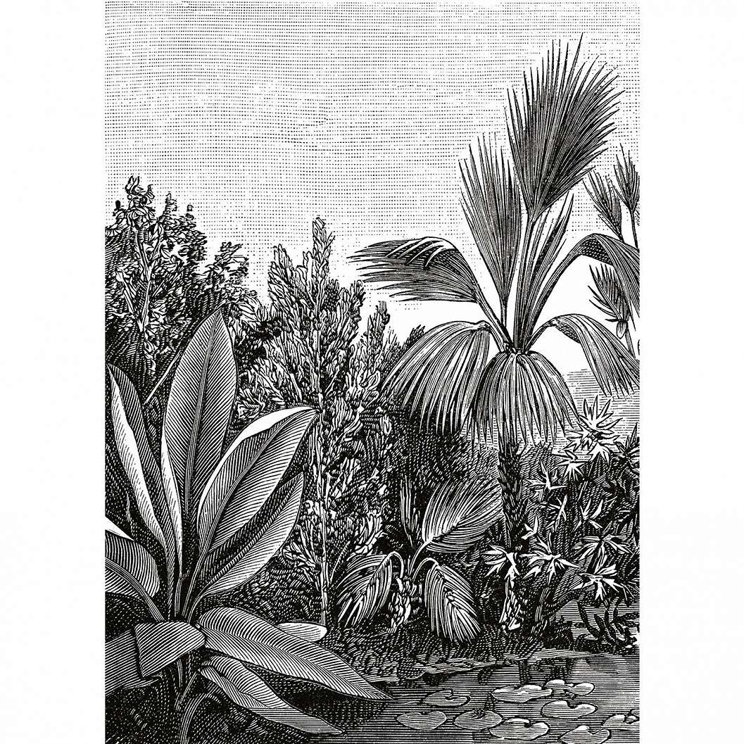 Caselio fotótapéta fekete fehér dzsungel mintával