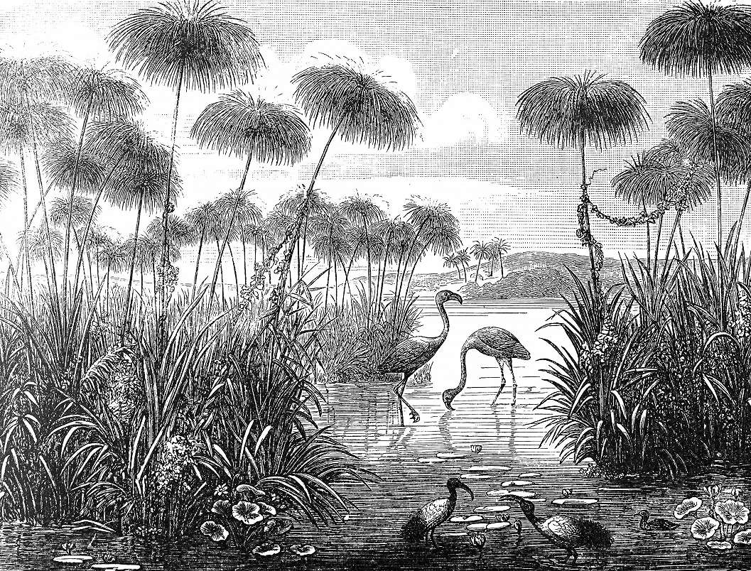 Fekete fehér flamingó és botanikus mintás fotótapéta 368x254 vlies