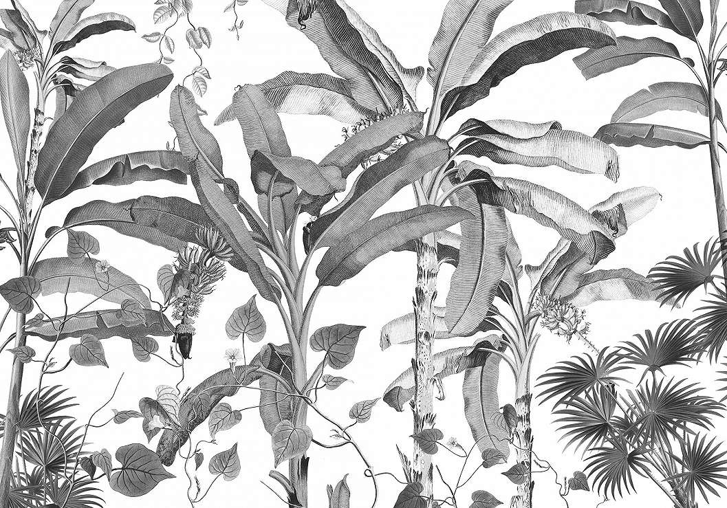 Fekete fehér fotótapéta modern trópusi botanikus mintával