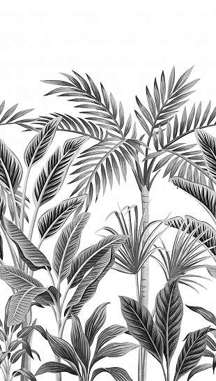 Fekete fehér trópusi pálmafa mintás mosható fotótapéta