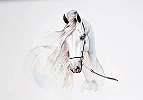 Fehér ló mintás vlies fali poszter festett stílusban 368x254 vlies