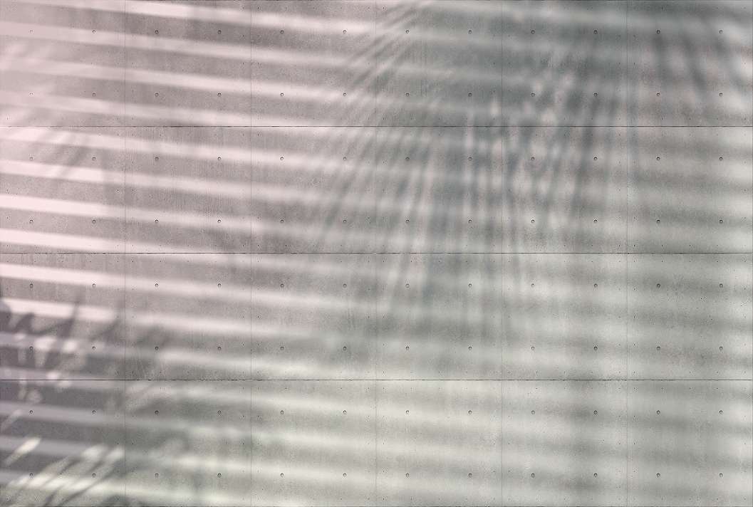 Fotótapéta betonhatással árnyékot vető pálmalevél mintával