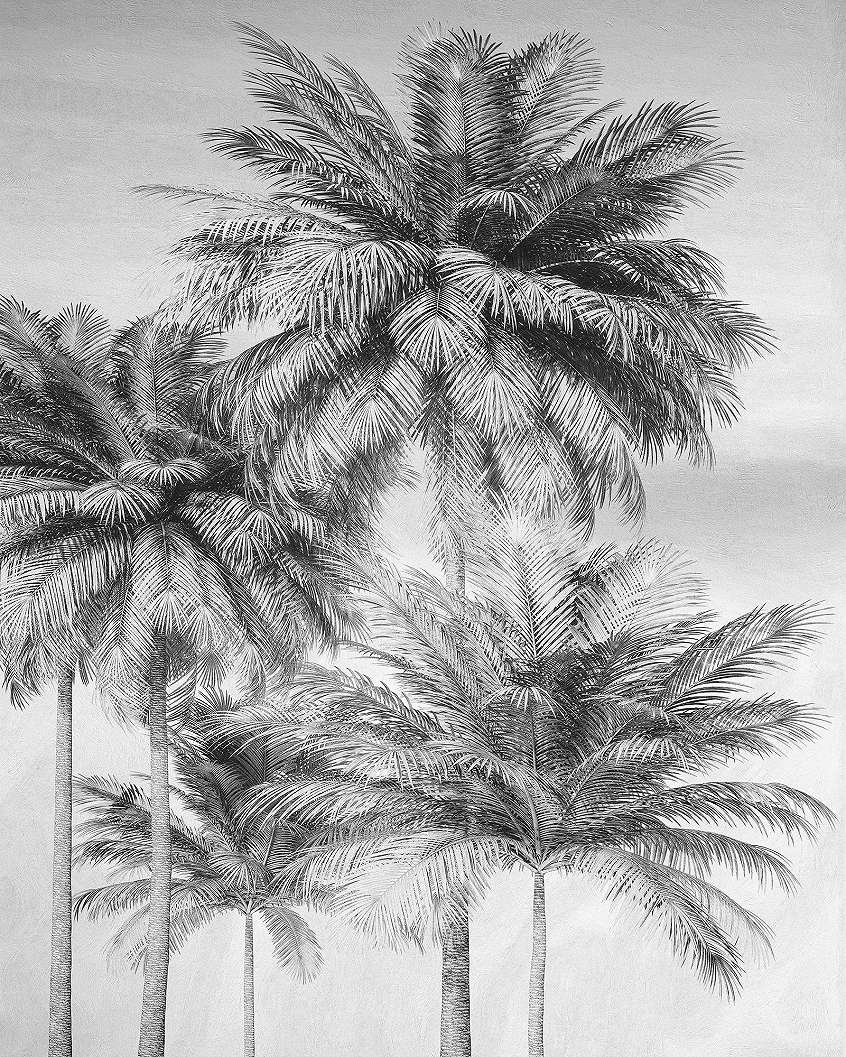 Fotótapéta fekete fehér pálmafa mintával