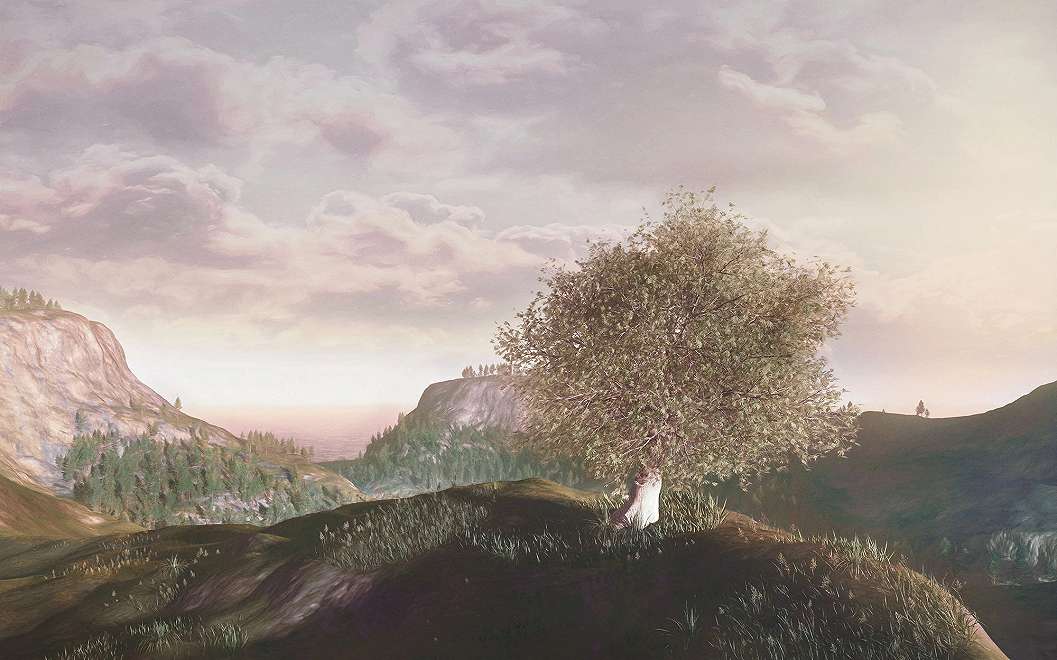 Fotótapéta mediterrán tájkép magányos olivafa mintával