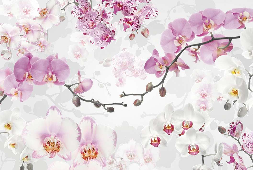 Fotótapéta rózsaszín orchidea mintával