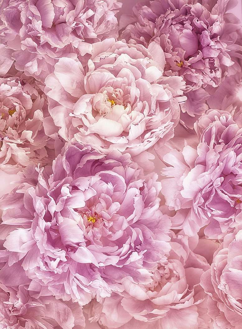 Fotótapéta rózsaszín romantikus virágmintával