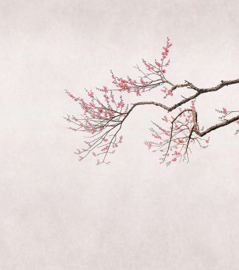 Keleties Japán sakura fa mintás fotótapéta