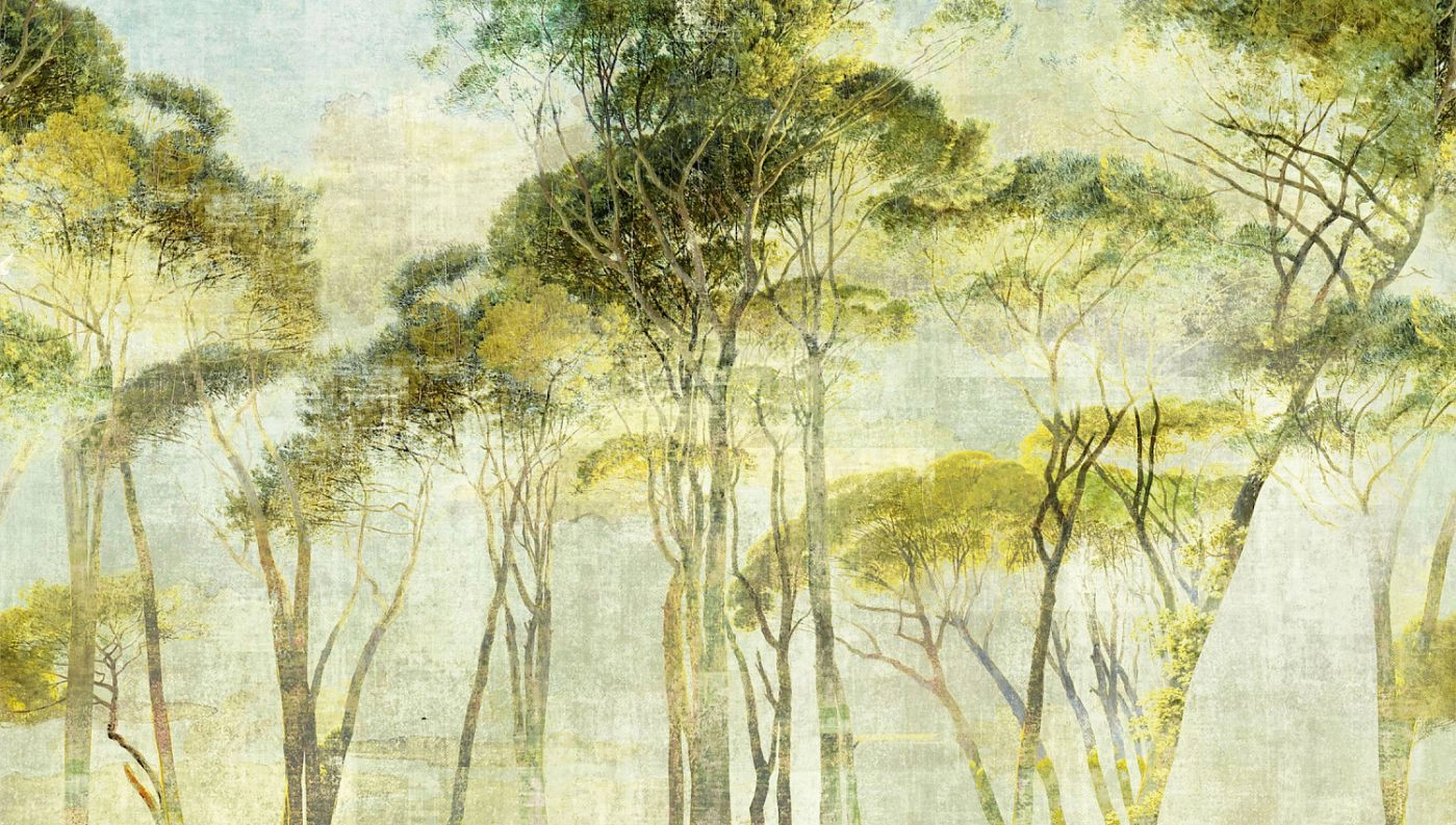 Cédruserdő mintás Khroma poszter Szélesség (508cm) X Magasság (300cm) vlies