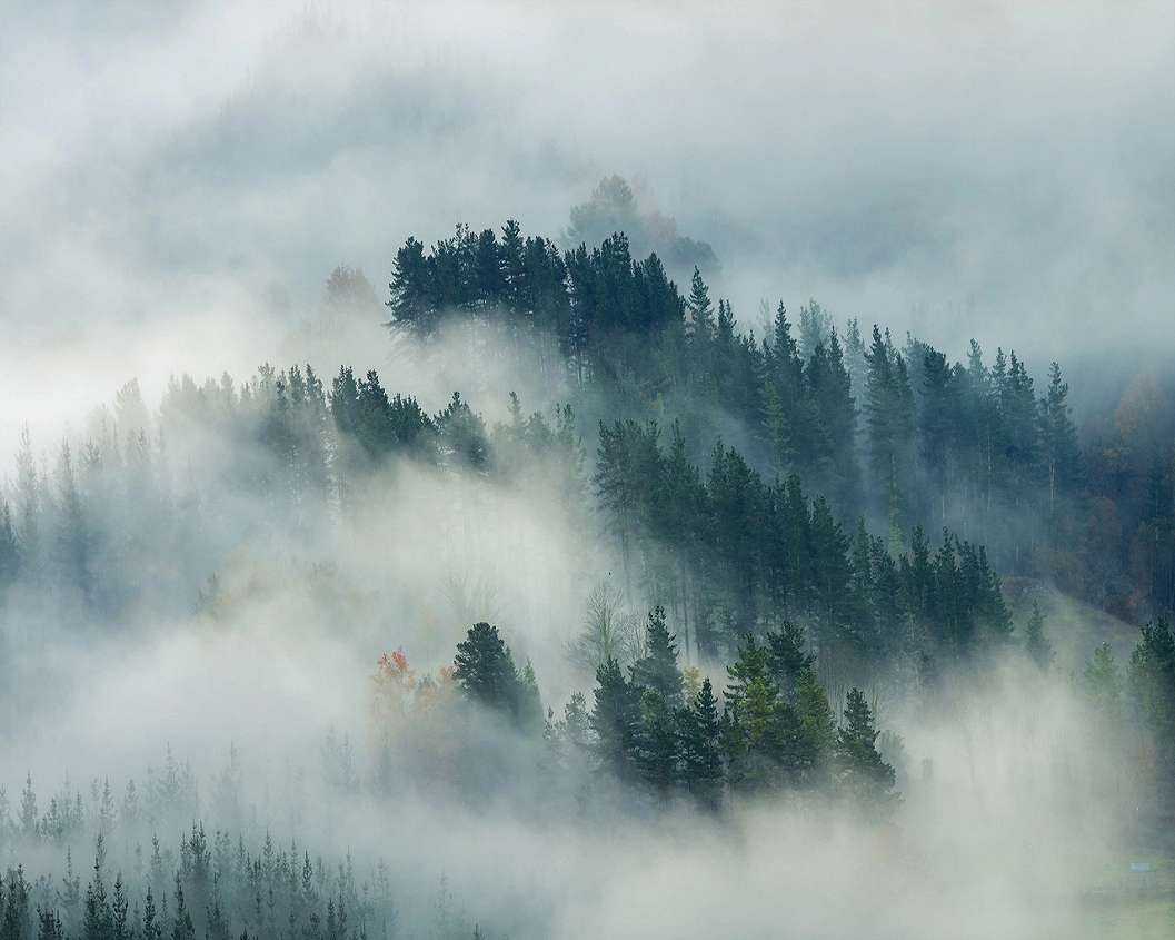 Ködbe burkolózó erdős tájkép mintás fotótapéta 368x254 vlies