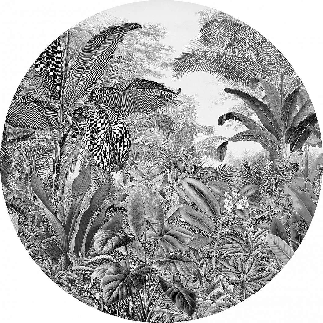 Kör alakú fekete fehér dzsungeles fotótapéta 125cm öntapadós