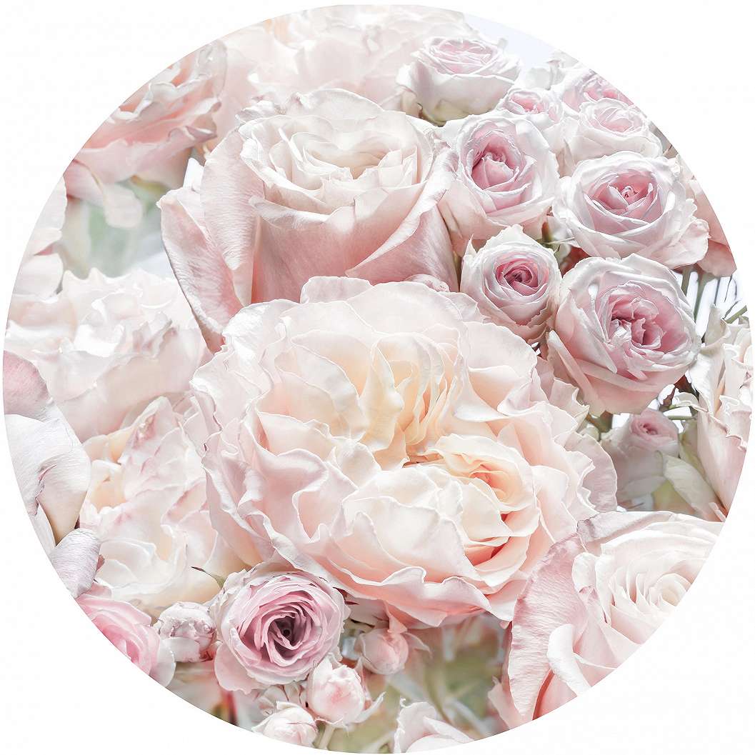 Kör fotótapéta romantikus rózsa mintával