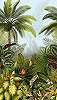 Trópusi dzsungel mintás vlies mosható poszter tapéta