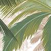 Modern trópusi pálmafa mintás vlies fali poszter