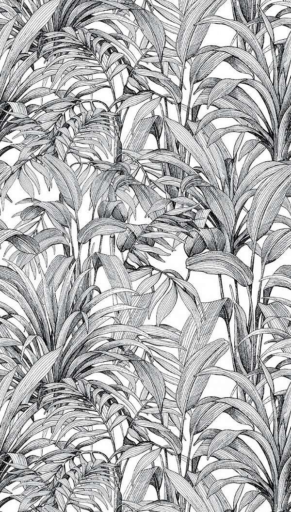 Monokróm színvilágú trópusi levél mintás design fotótapéta
