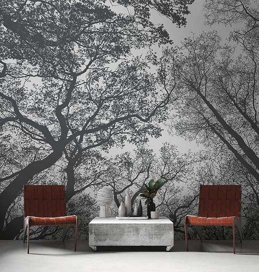 Mosható fotótapéta fekete-fehér erdei látkép mintával