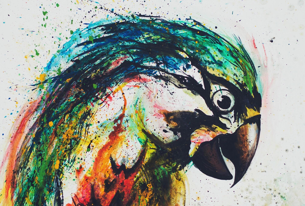 Művészi színes fotótapéta óriás papagályos mintával