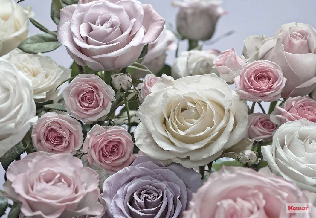 Óriás fotótapéta romantikus pasztell rózsa mintával