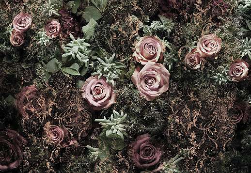 Óriás rózsa mintás fotótapéta virágzó rózsa mintával