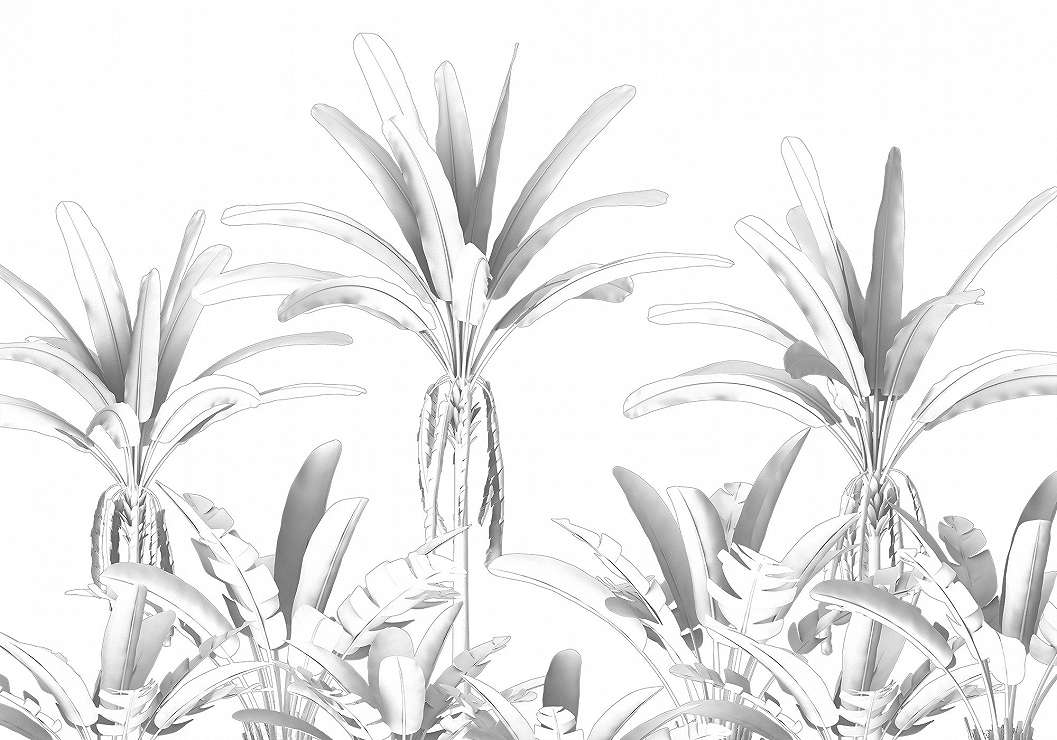 Pálmafa mintás fotótapéta fekete fehér színvilágban