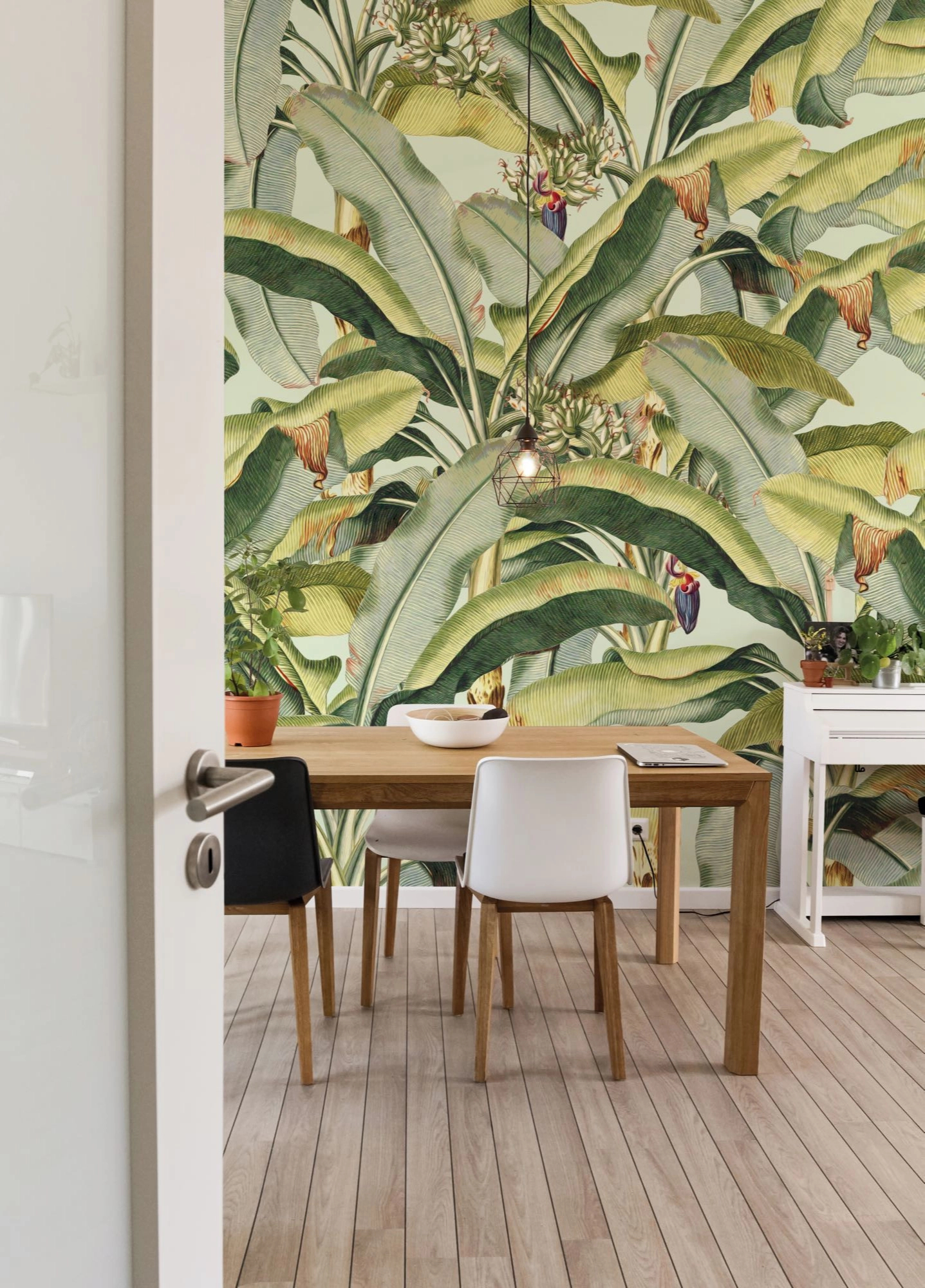 Zöld óriás pálmalevél mintás fotótapéta