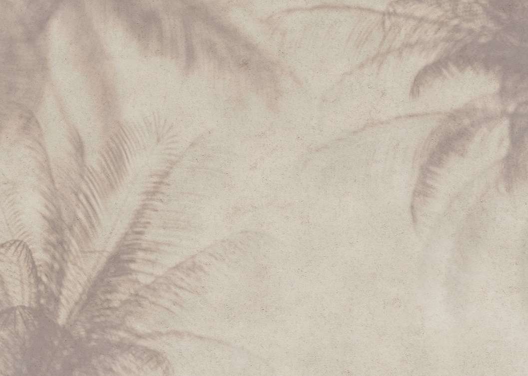 Poszter tapéta pálmalevél árnyék mintával