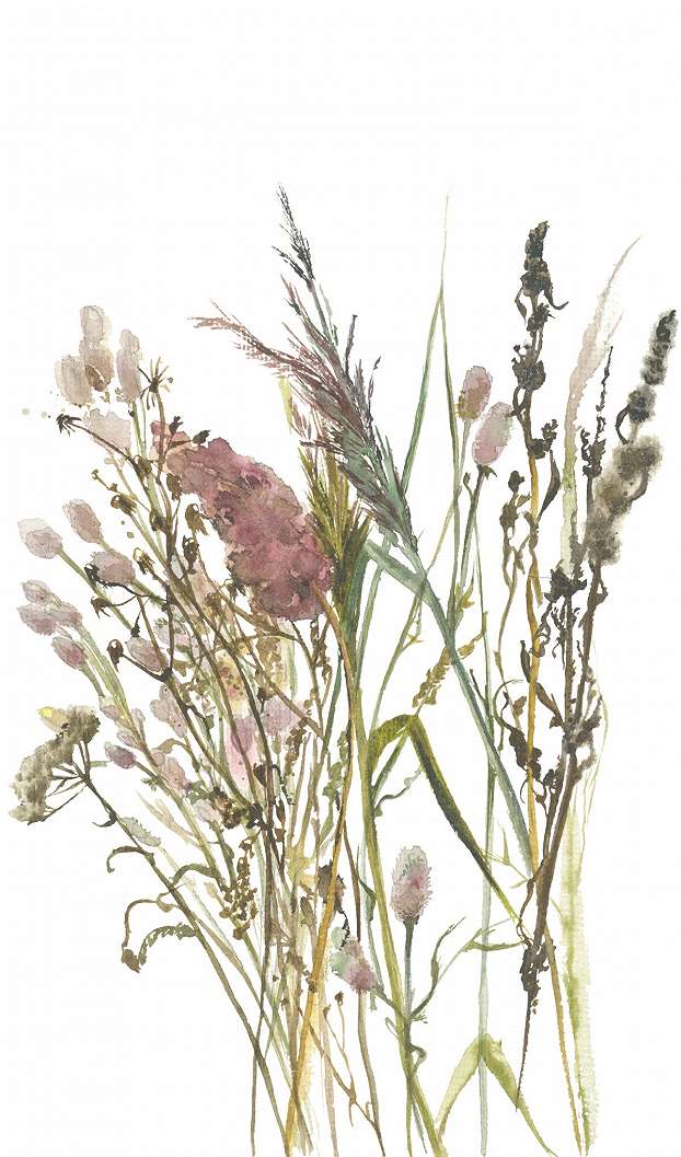 Posztertapéta akvarell vadvirág mintával 160cm x 270cm