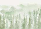 Fotótapéta ködös erdei fenyves mintával