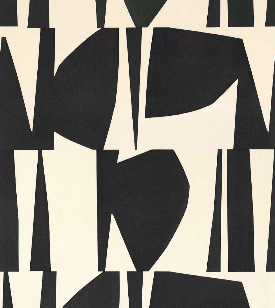 Posztertapéta fekete nonfiguratív mintával 250 cm x 280 cm