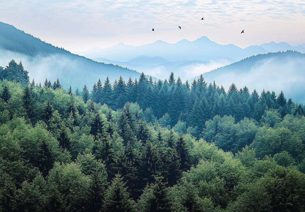 Posztertapéta hegyek és erdő minta 368x254 vlies