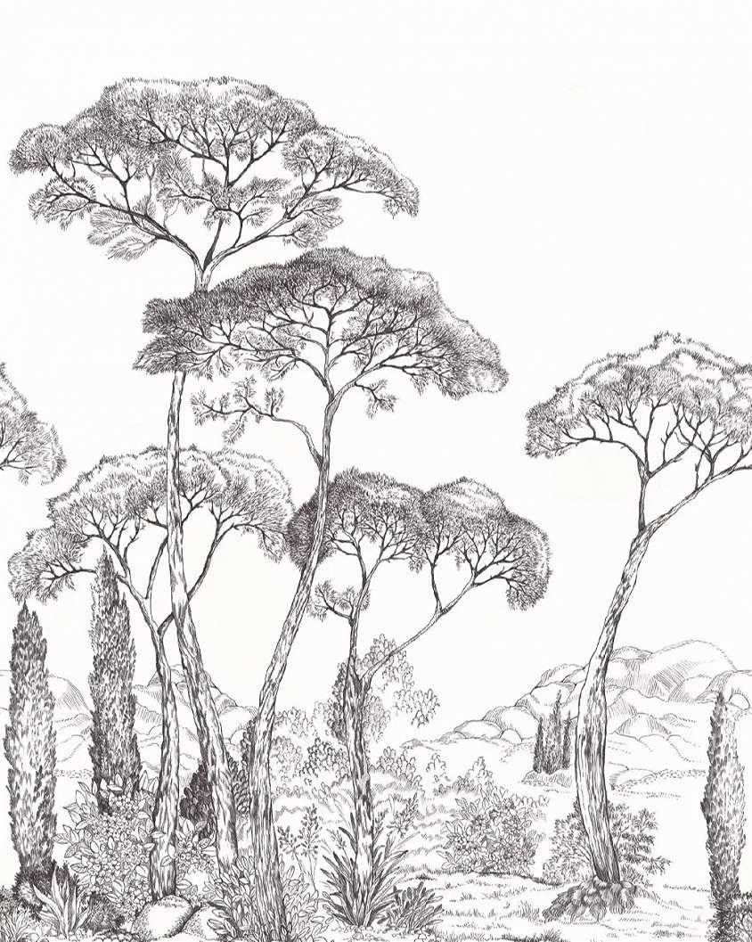 Posztertapéta majomkenyérfa mintával 200 cm x 250 cm