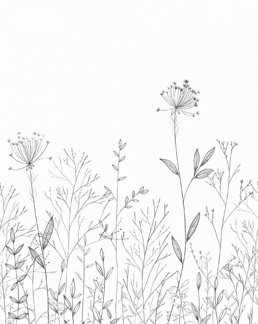 Posztertapéta mezeivirág mintával 200 cm x 250 cm