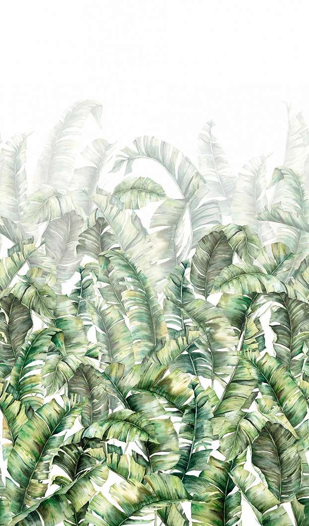  Posztertapéta pálmalevél mintával
