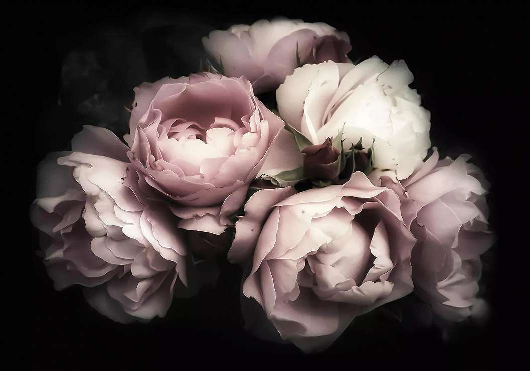 Romantikus hangulatú rózsa mintás fotótapéta 368x254 vlies