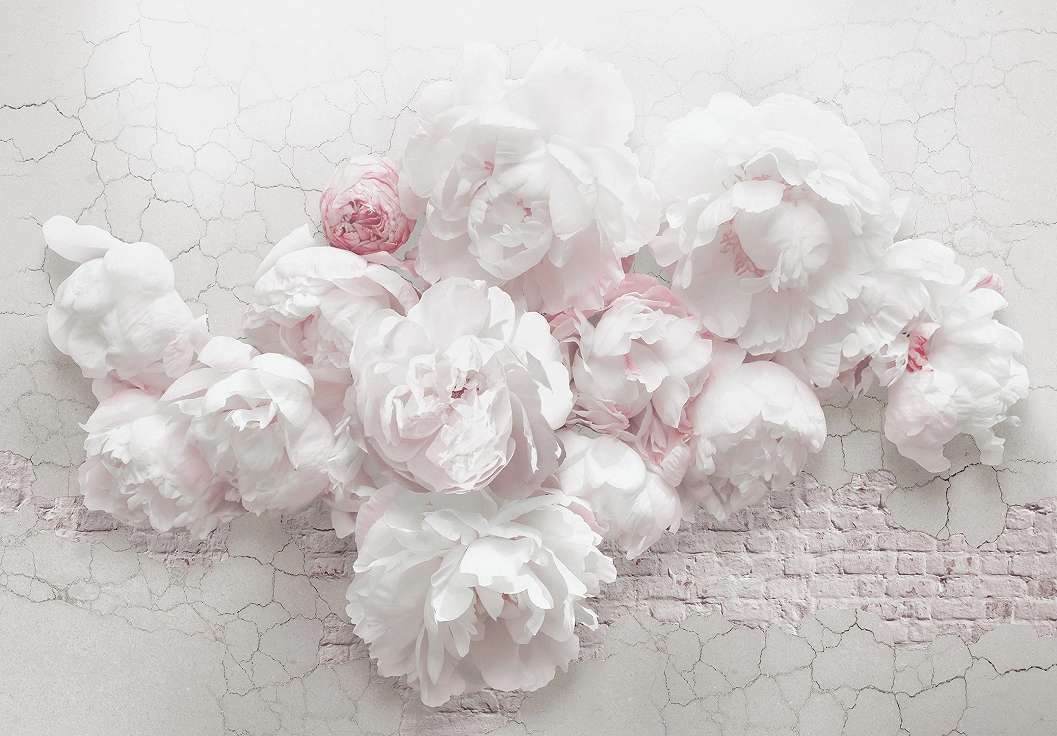 Rózsasín, fehér óriás rózsa mintás fotótapéta loftos háttérrel 368x254 vlies