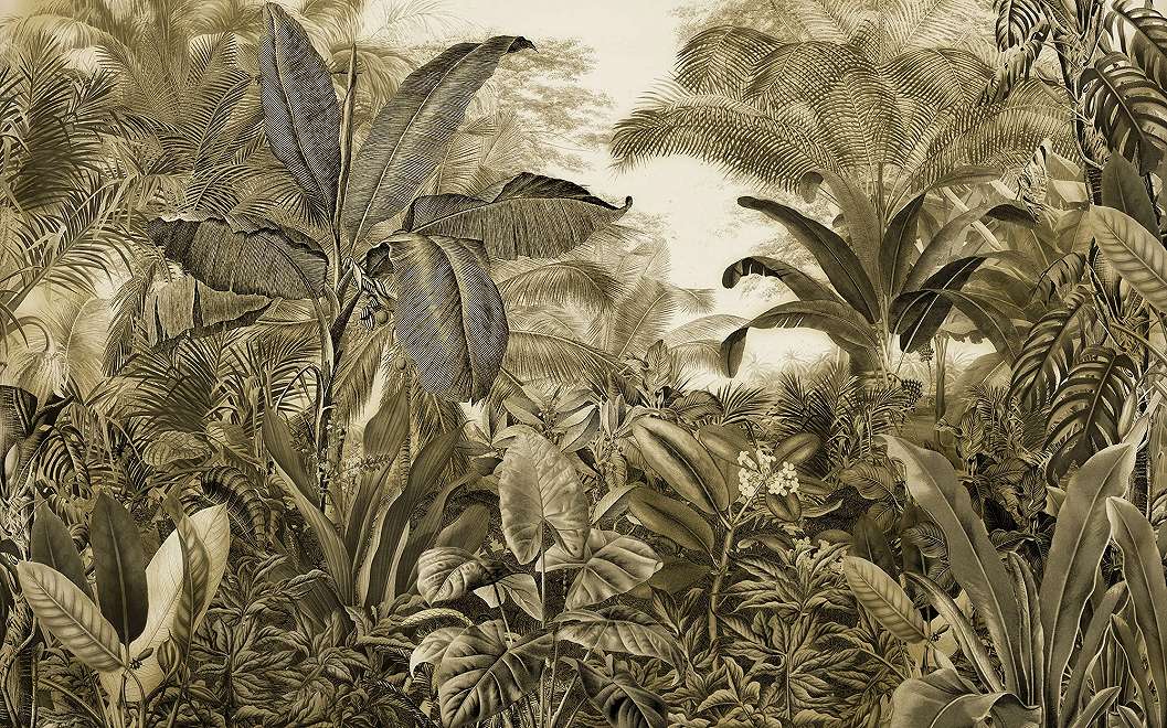 Vintage dzsungel mintás fotótapéta