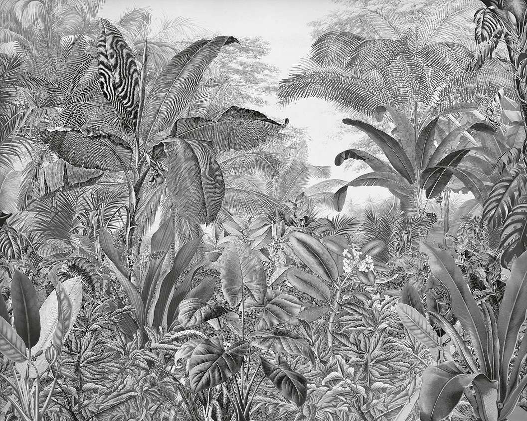 Vlies fotótapéta fekete fehér dzsungel pálmafás mintával