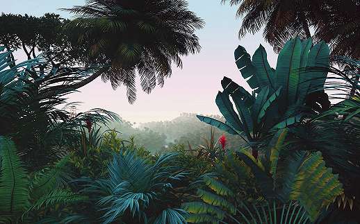 Vlies fotótapéta modern trópusi pálmafa és dzsungel látképpel