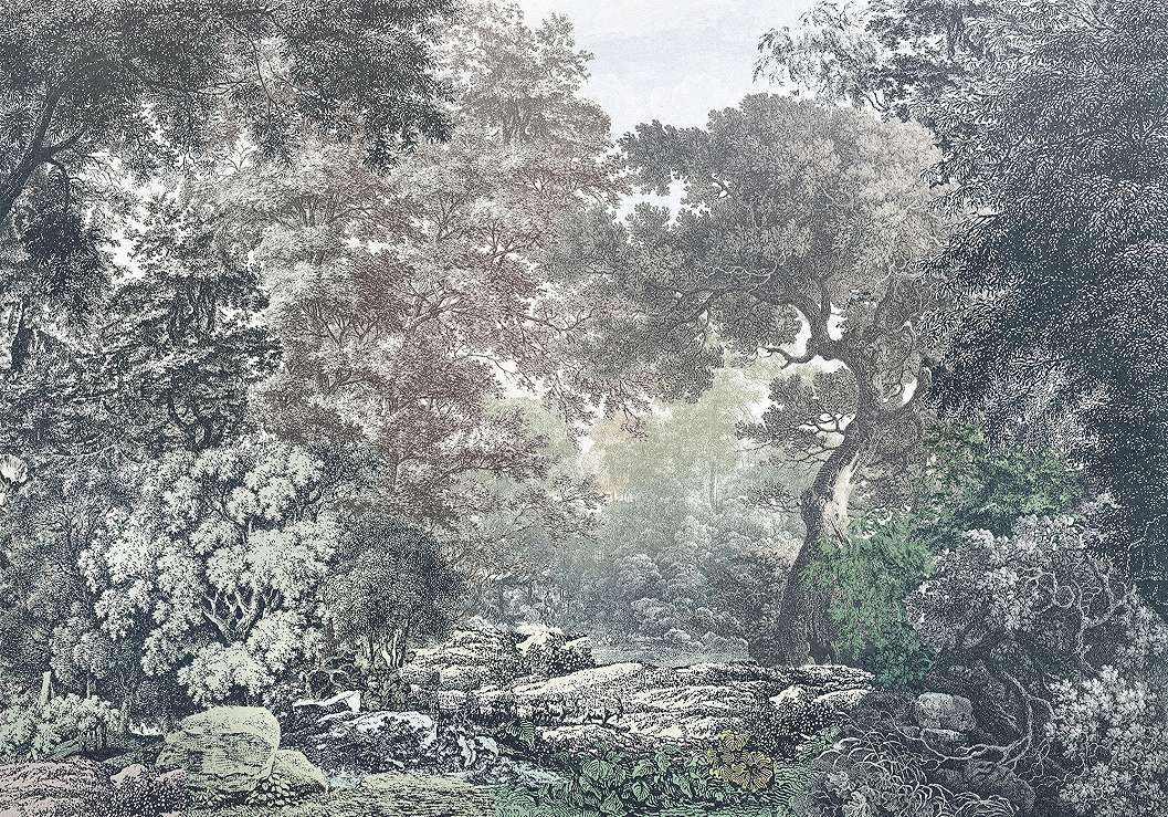 Vlies fotótapéta rajzolt erdei tájkép és fa mintákkal