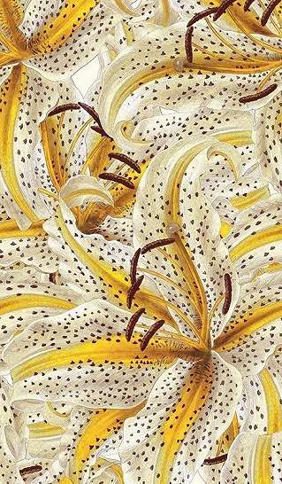 Vlies fotótapéta sárga fehér romantikus liliom virág mintával
