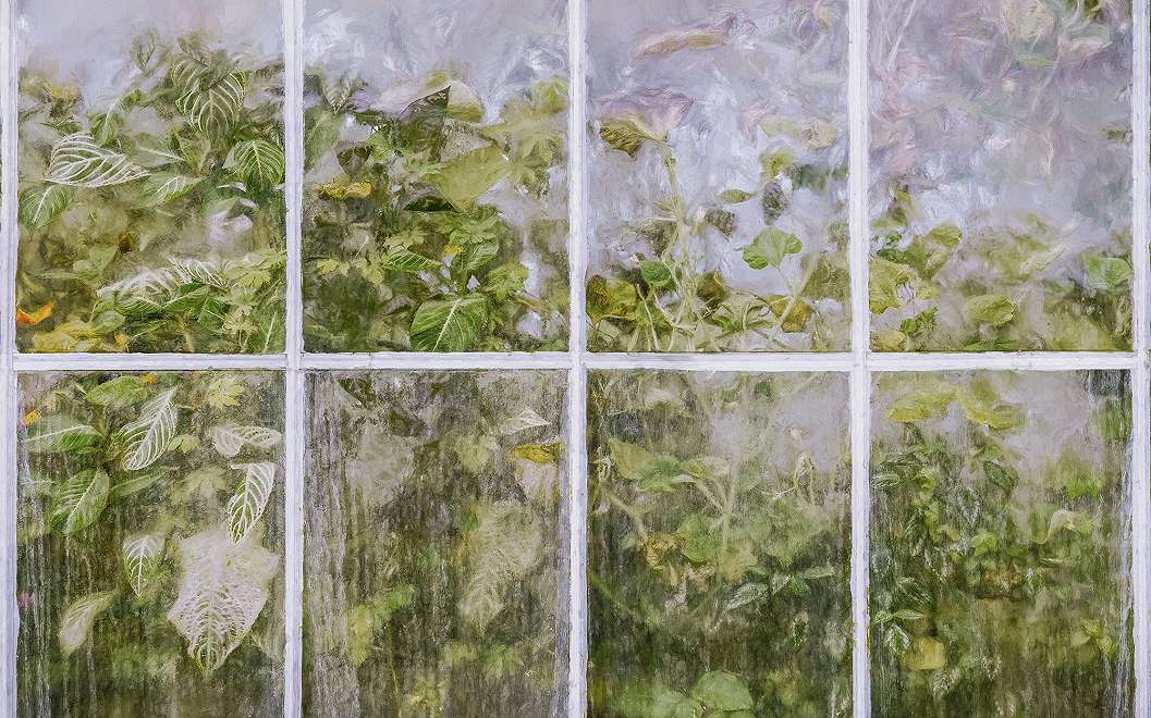 Vlies fotótapéta zöld leveles mintával ablak mögötti hatással