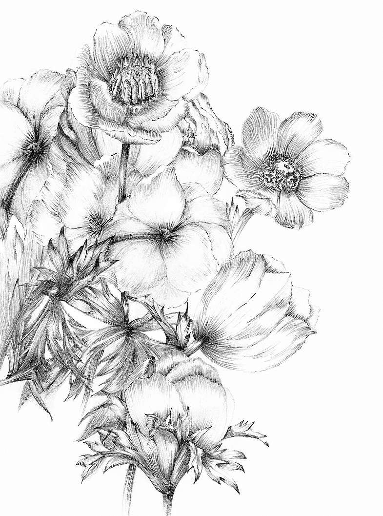 Vlies minimalista fotótapéta fekete fehér rajzolt virágmintával