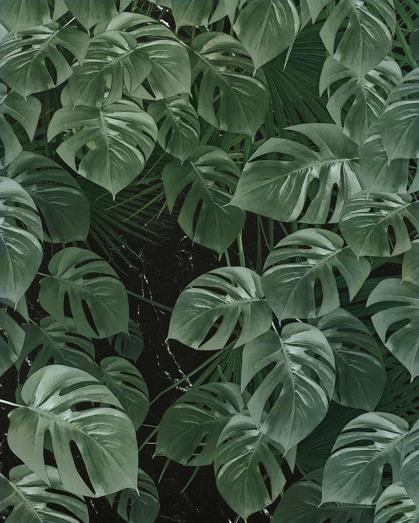 Zöld pálmalevél mintás fotótapéta